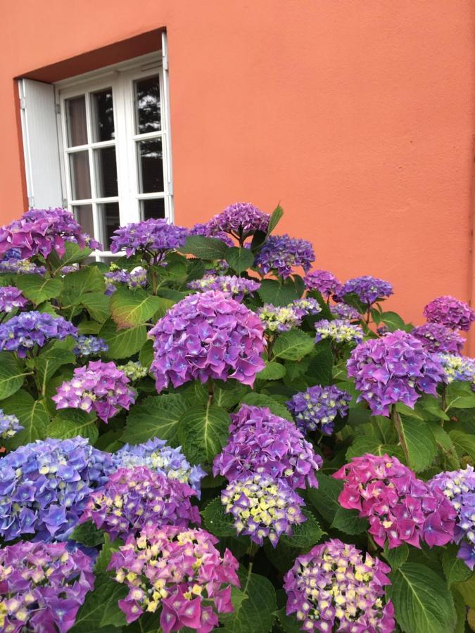Hotel La Belle Etoile Thouare-sur-Loire Luaran gambar
